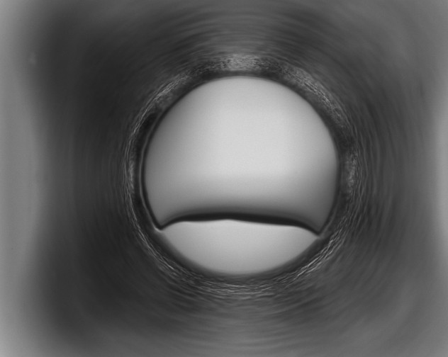 X0000098130542200804171101