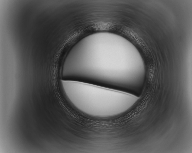 X0000098130543200804171101