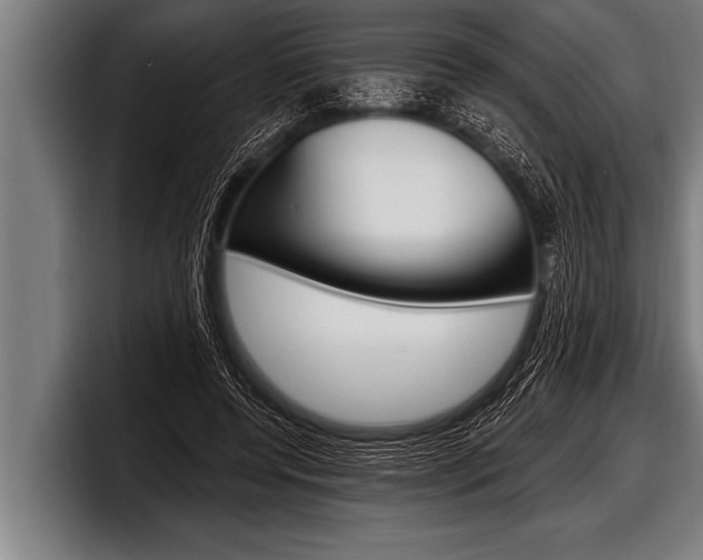 X0000098130544200804171101