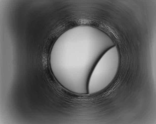 X0000098130545200804171101