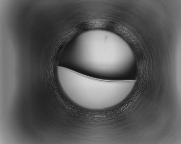X0000098130546200804171101