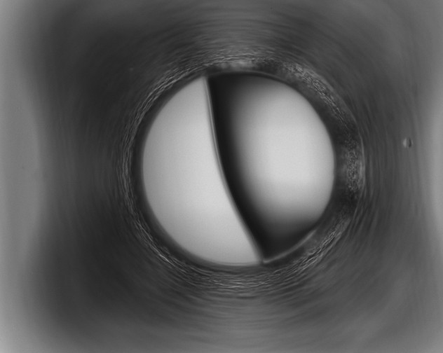 X0000098130548200804171101