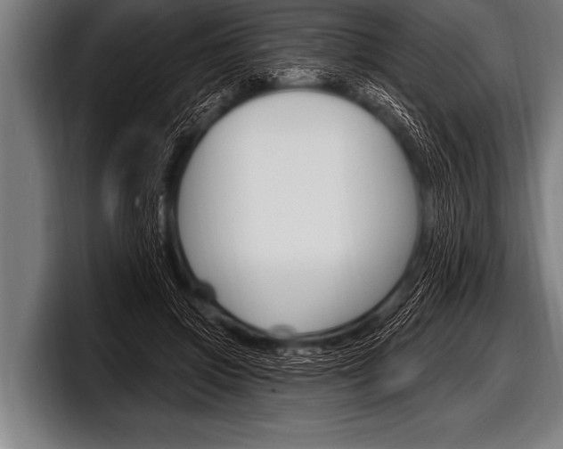 X0000098130549200804171101