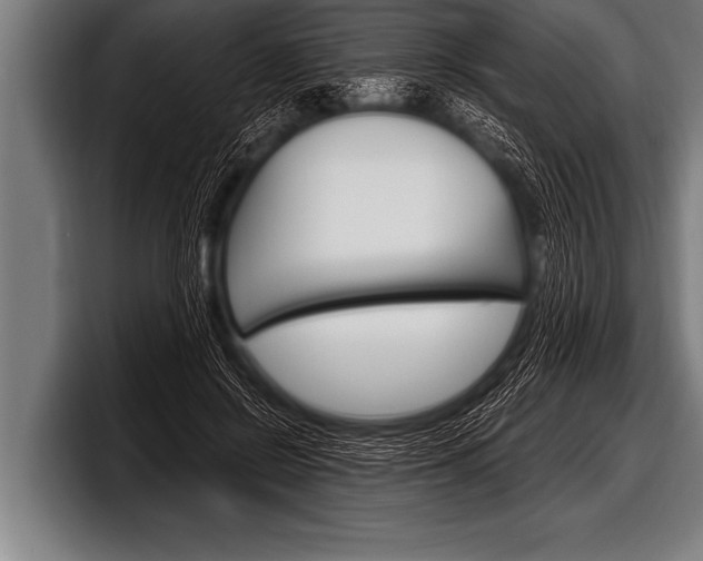 X0000098130550200804171101