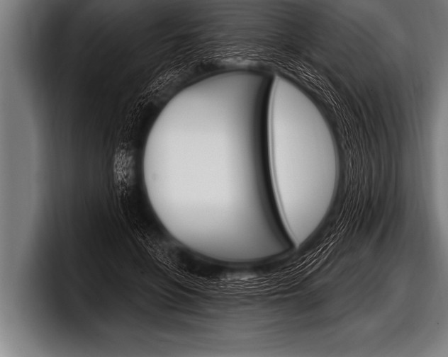 X0000098130551200804171101