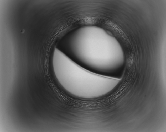 X0000098130552200804171101