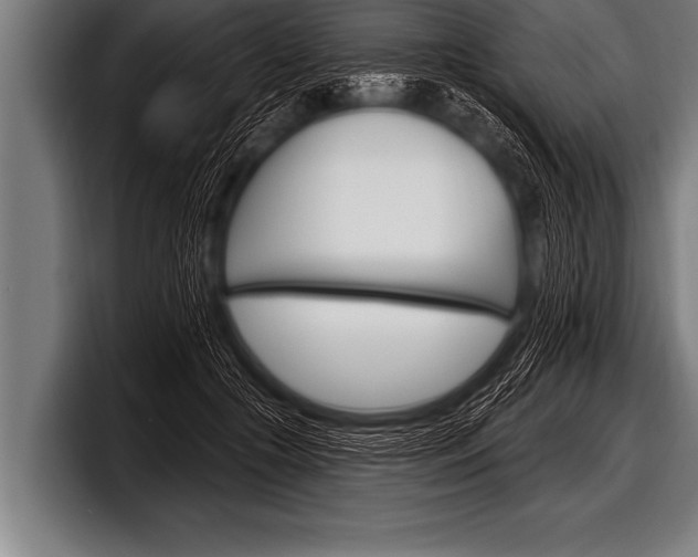 X0000098130553200804171101