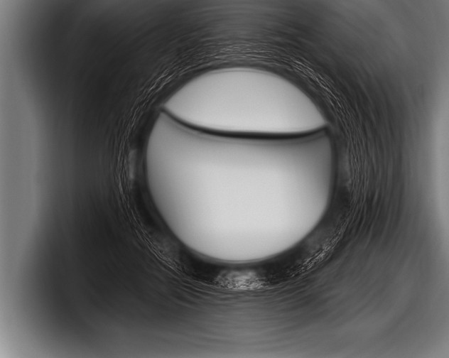 X0000098130554200804171101