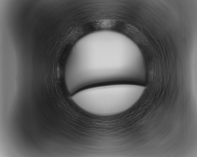 X0000098130555200804171101