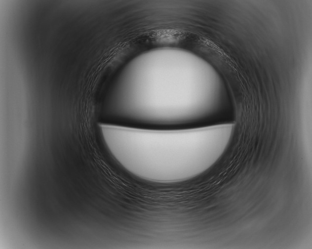 X0000098130556200804171101