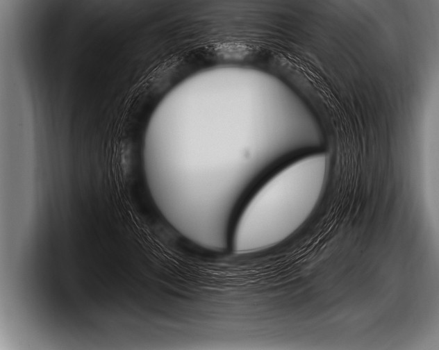 X0000098130559200804171101
