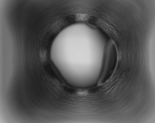 X0000098130560200804171101