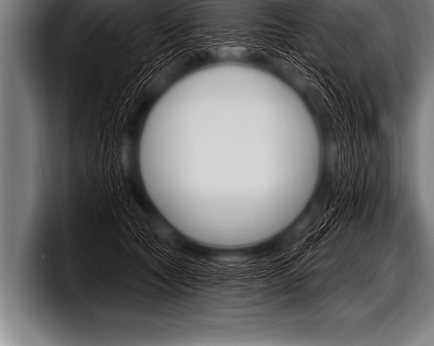 X0000098130561200804171101