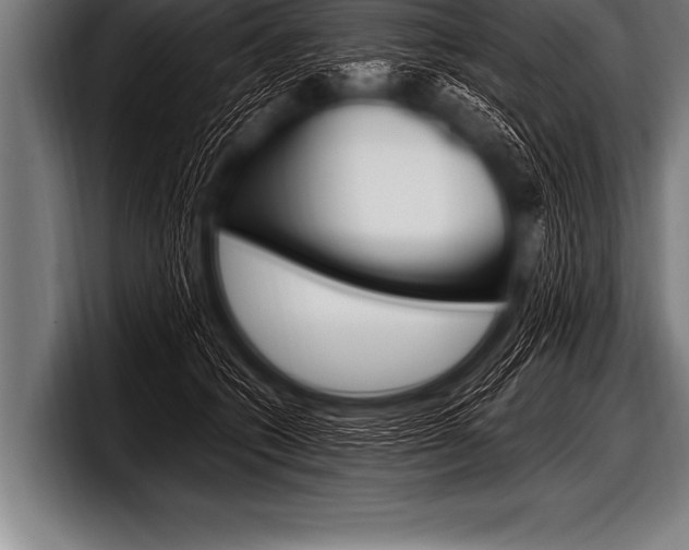 X0000098130562200804171101