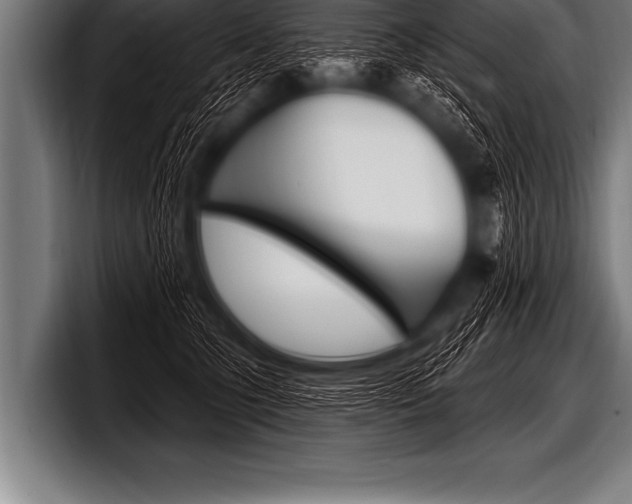 X0000098130563200804171101