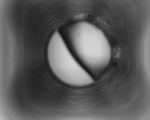 X0000098130564200804171101