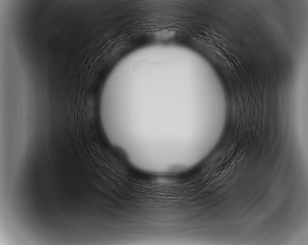 X0000098130565200804171101