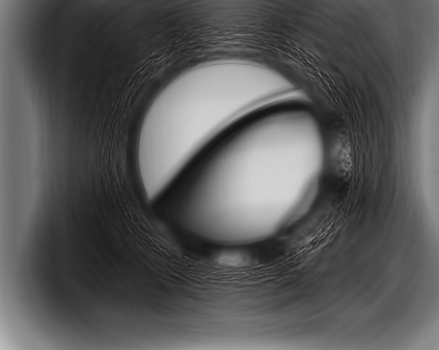 X0000098130566200804171101