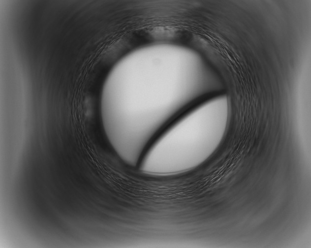 X0000098130567200804171101