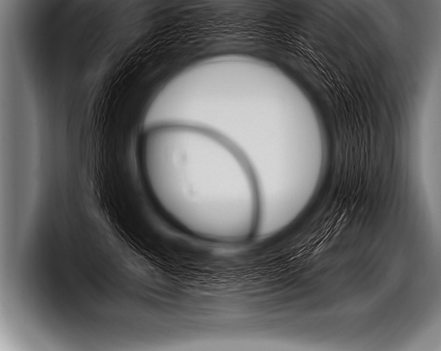 X0000098130572200804171101