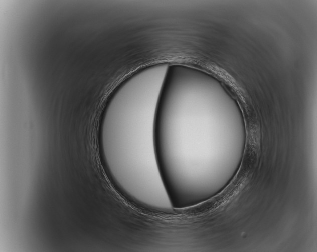 X0000098130577200804171101