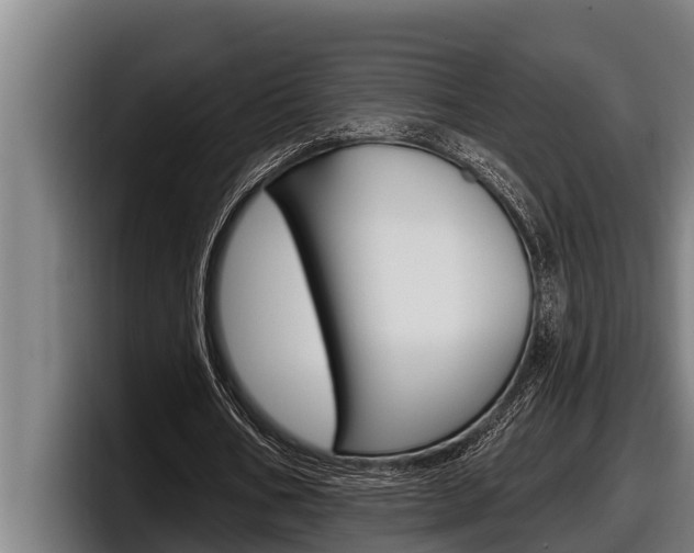 X0000098130578200804171101
