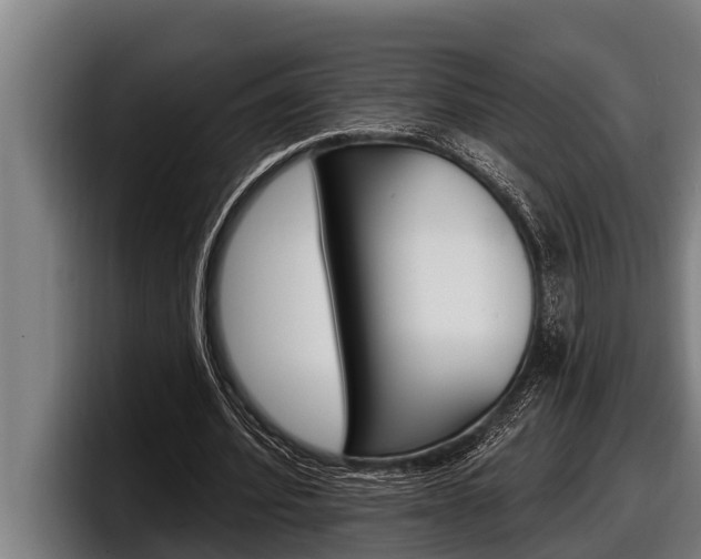 X0000098130580200804171101