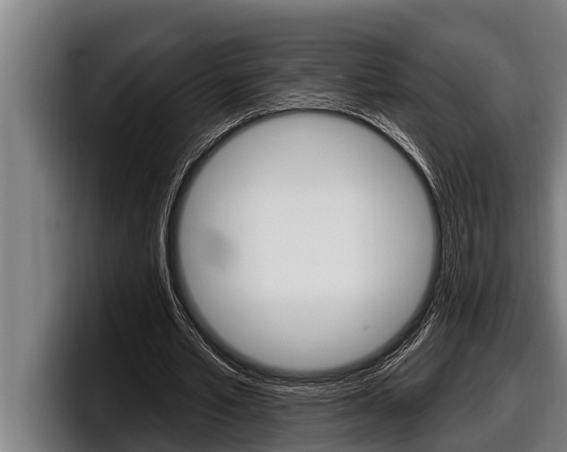 X0000098130581200804171101