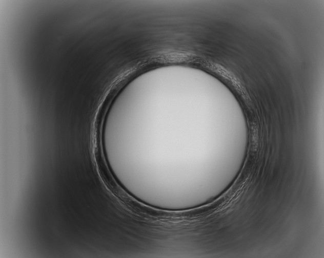 X0000098130582200804171101