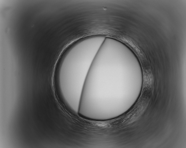 X0000098130583200804171101
