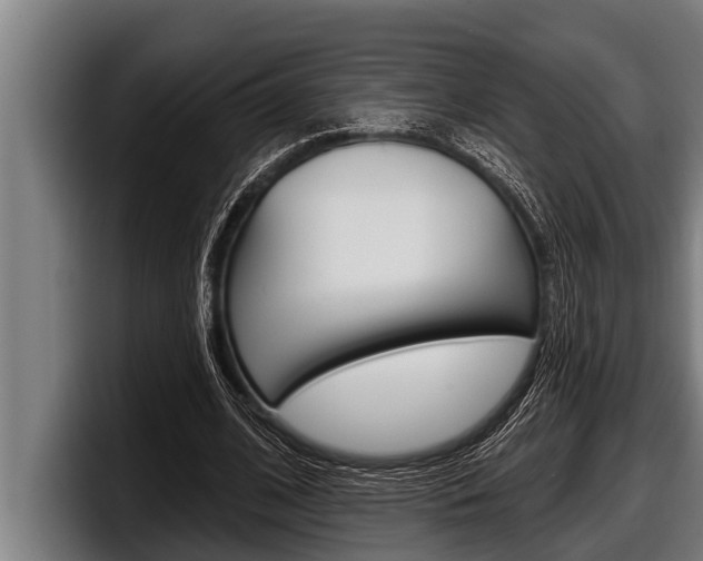 X0000098130584200804171101