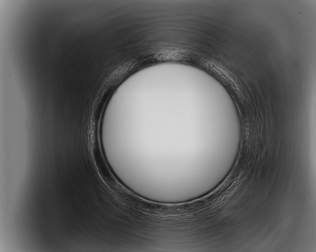 X0000098130586200804171101