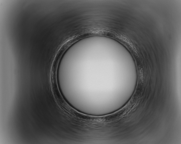 X0000098130587200804171101