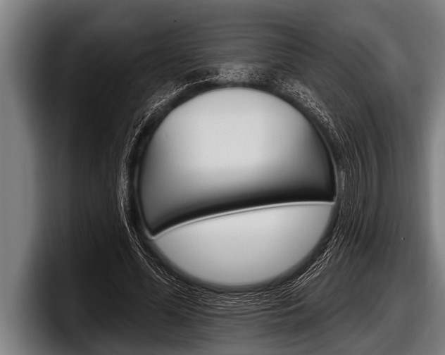 X0000098130588200804171101