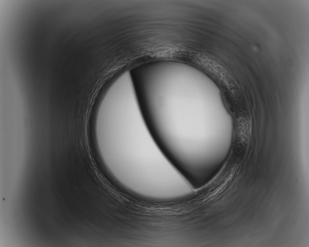 X0000098130589200804171101