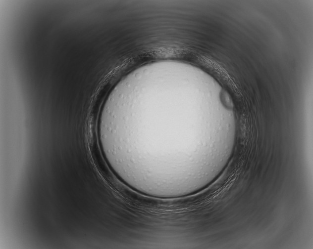 X0000098130590200804171101