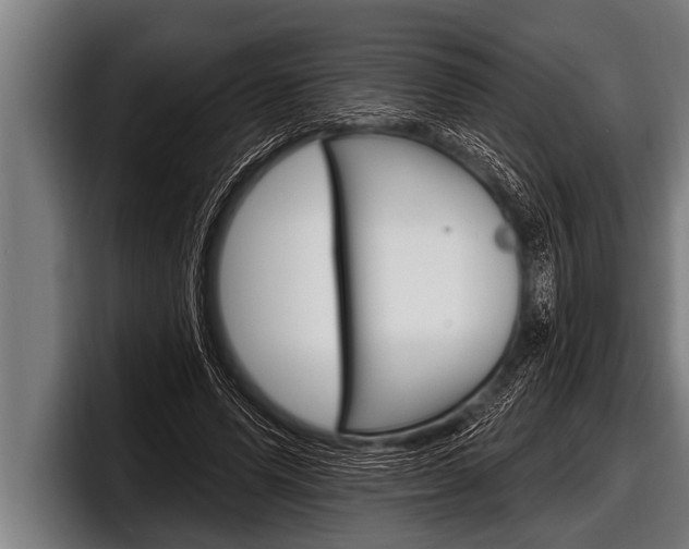X0000098130591200804171101