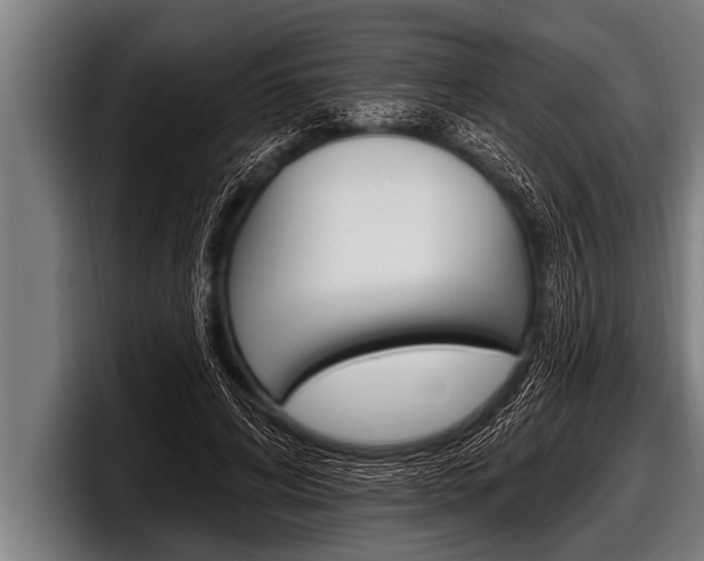 X0000098130592200804171101