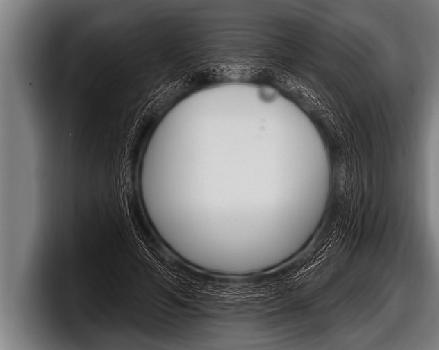X0000098130594200804171101