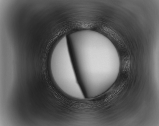 X0000098130595200804171101