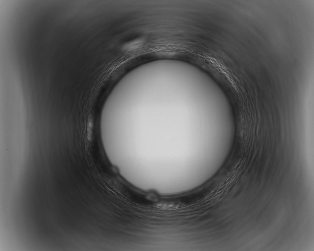 X0000098130596200804171101