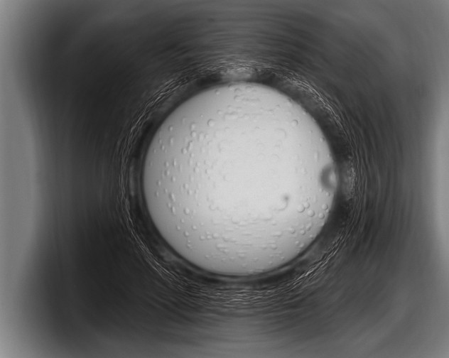 X0000098130598200804171101