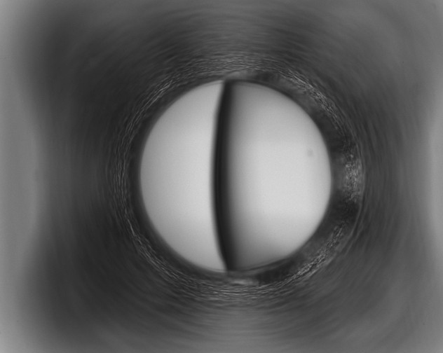 X0000098130599200804171101