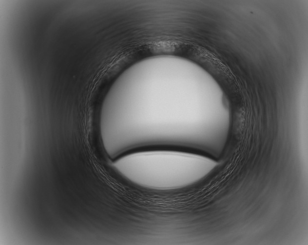 X0000098130600200804171101
