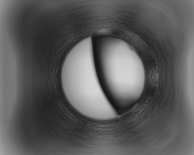 X0000098130601200804171101
