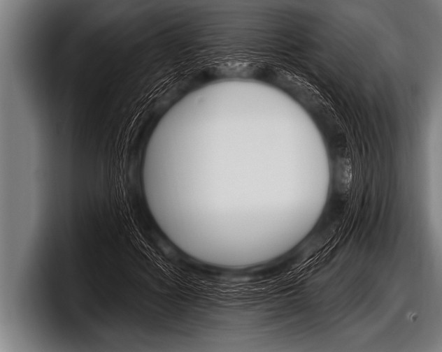 X0000098130602200804171101