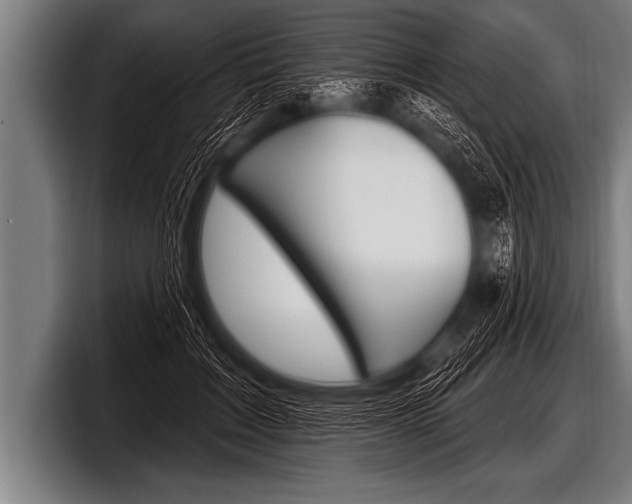 X0000098130603200804171101