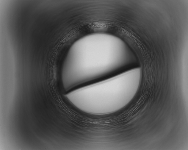 X0000098130604200804171100