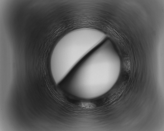 X0000098130605200804171100