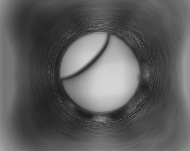 X0000098130607200804171100